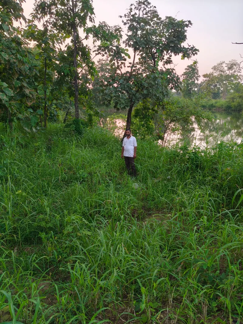 धान से आगे बढ़ा खेती का दायरा, समन्वित कृषि ने घनश्याम की आय को दिए नए रास्ते
