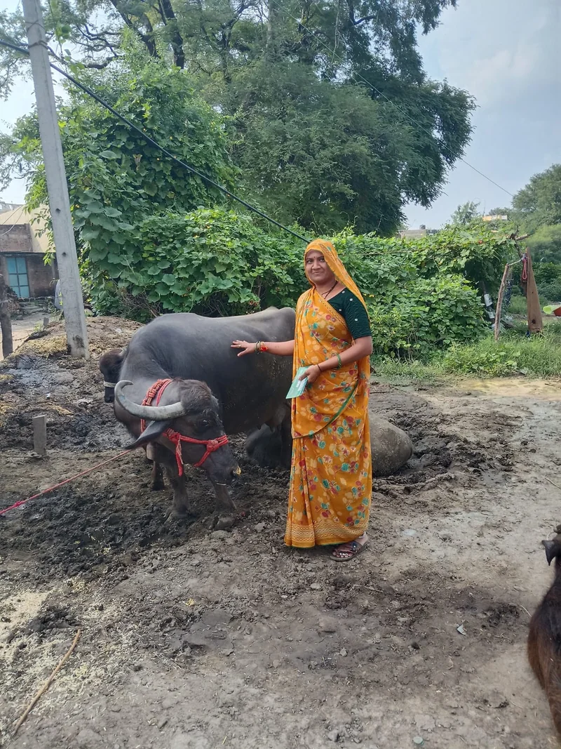 (सेवा संकल्प अभियान) समूह से मिला संबल: कृषि और पशुपालन से आत्मनिर्भर बनीं बबीता चौधरी, अब सालाना 1.65 लाख…